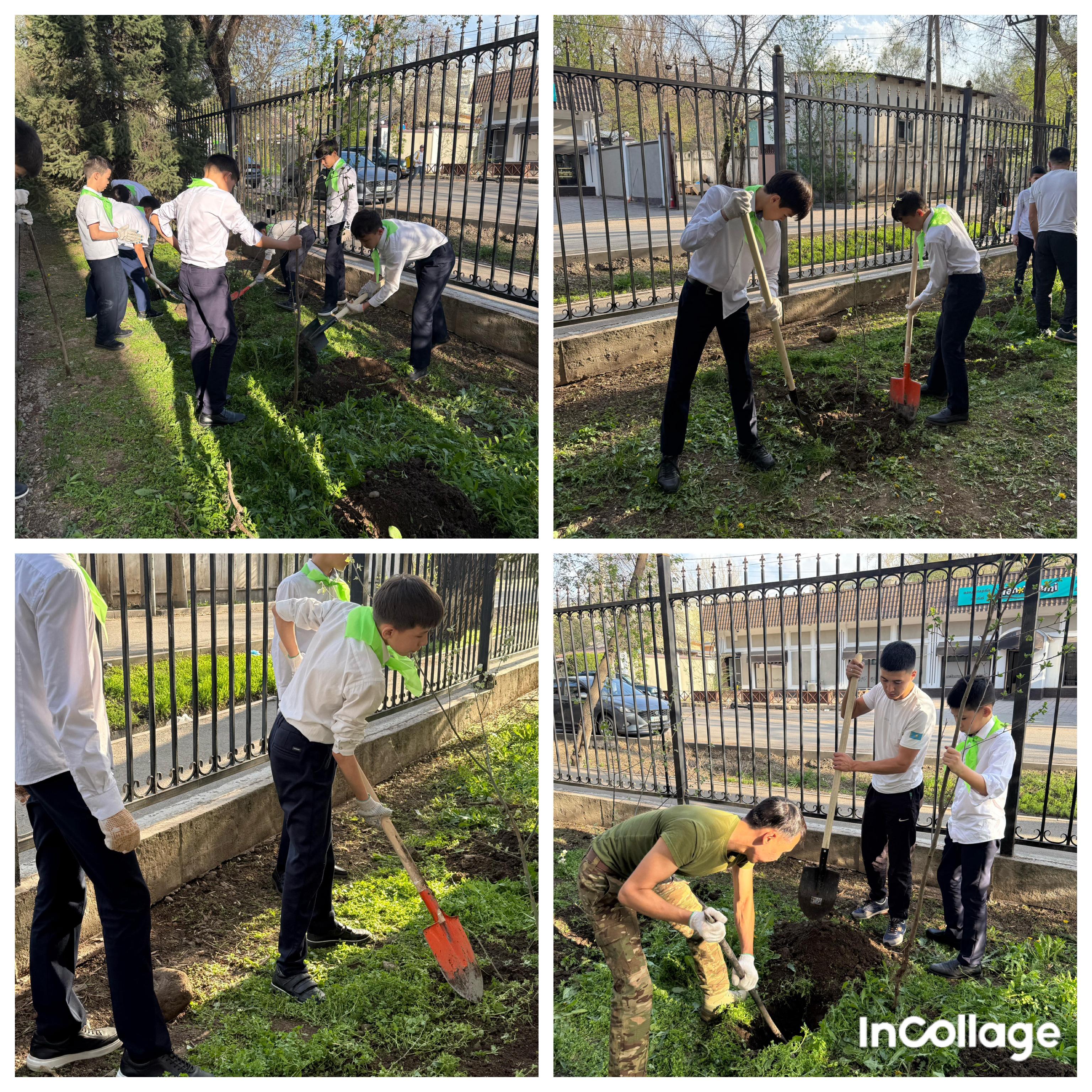 «Ағаш отырғызу» акциясы