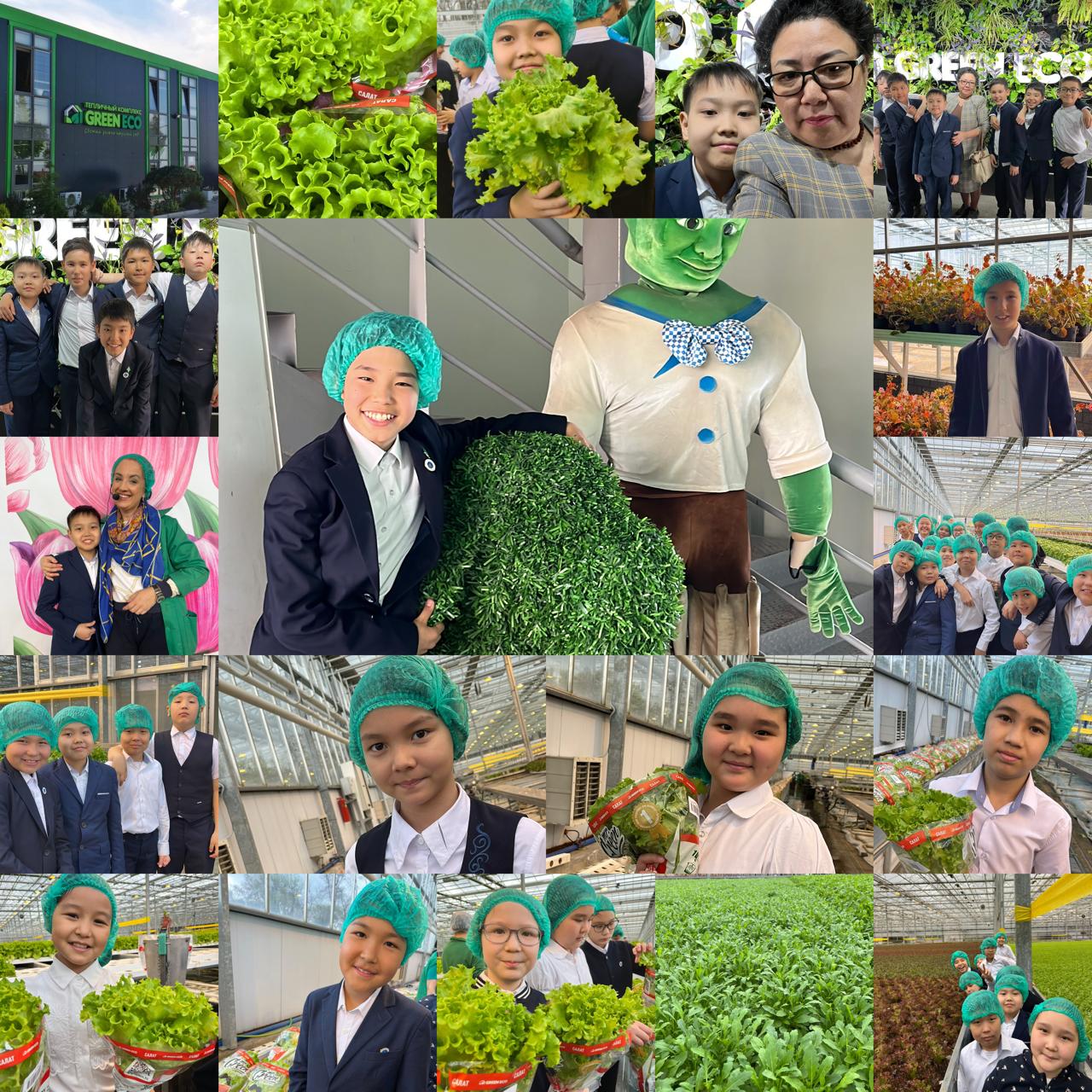 «Green Eco» жылыжай кешеніне танымдық экскурсия